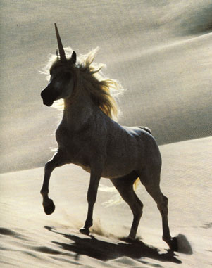 unicorn-desert.jpg