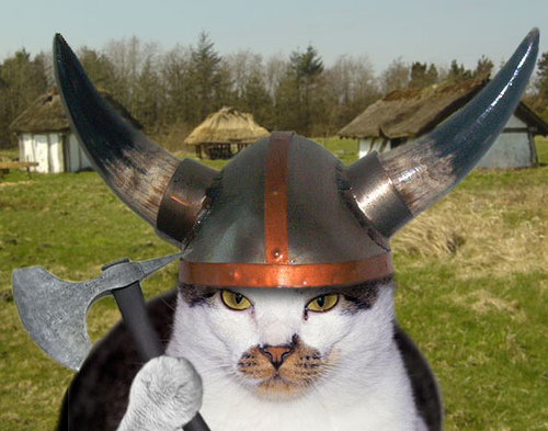 viking-cats.jpg