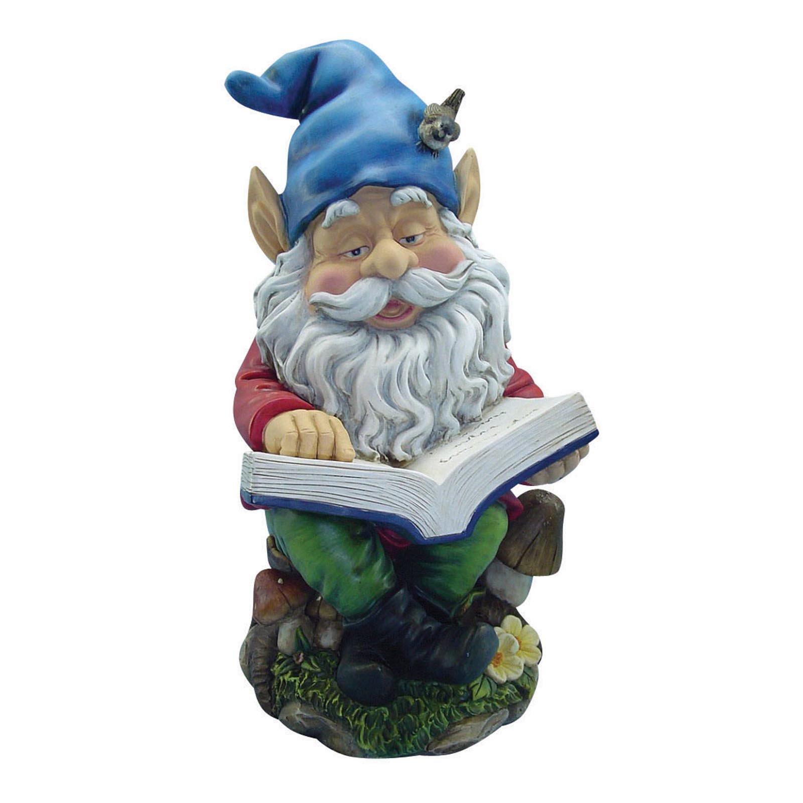 Picture Of Gnome