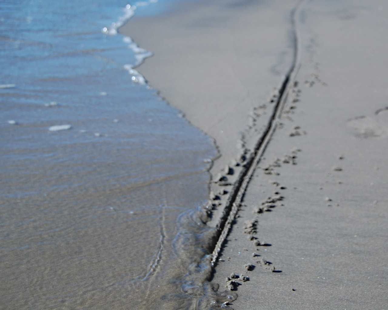 Mythic Lines at the Alamo - Beachcombing's Bizarre History Blog