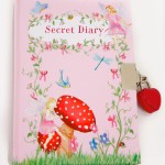 Fairy and Diary