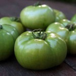 Tomatoes and Poison: Humanity's Innate Conservatism