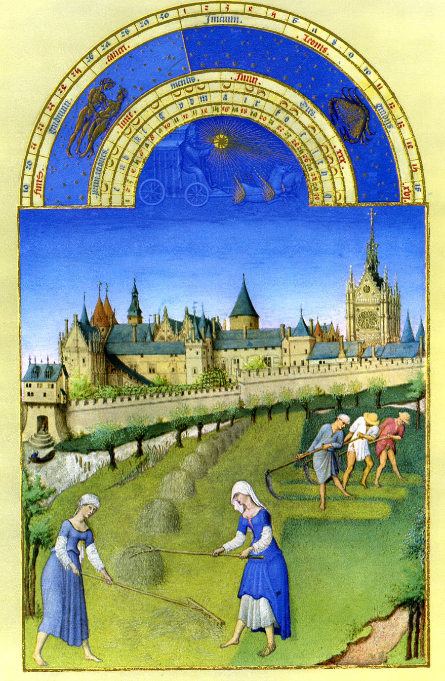Daily History Picture: Working in Medieval Fields - Beachcombing's