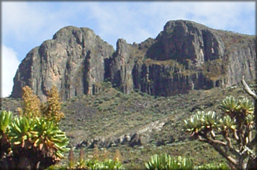 mtelgon