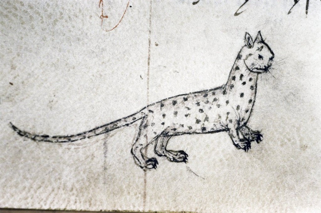 cat fifteenth century england