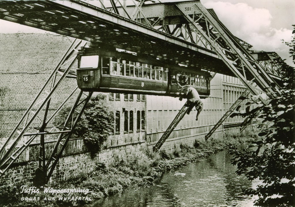 An Elephant Jumping From A Monorail In Germany. The Elephant Survived And Lived For 40 More Years