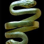 The Longest Ancient Snakes