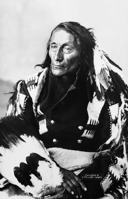 cree chief from alberta