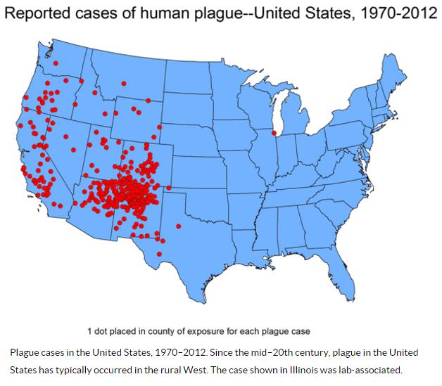 human plague