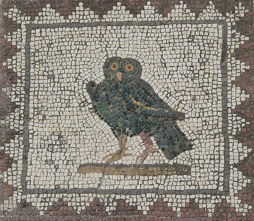 roman owl spain