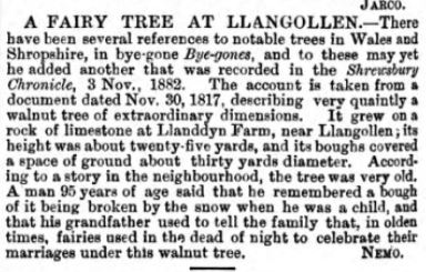 A fairy tree at Llangollen p 124 vol. 7 Bye-Gones