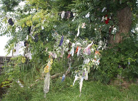 rag tree