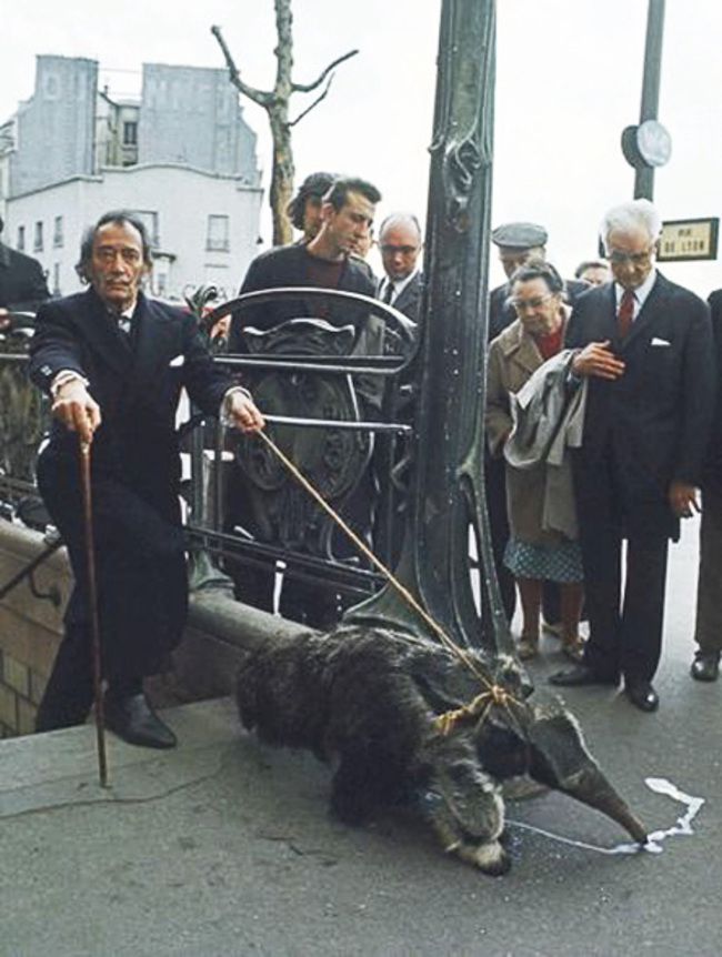 salvador dali and pet ant eater