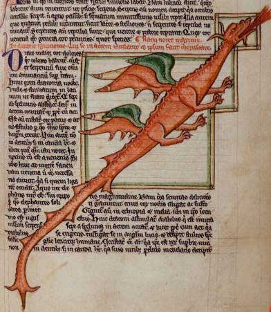 13C dragon