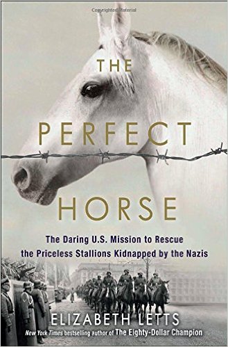 New History Books: The Perfect Horse