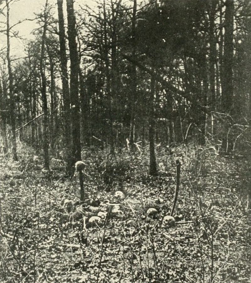 skulls at the battle of the wilderness