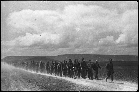 Daily History Picture: Germans Captured in Crimea