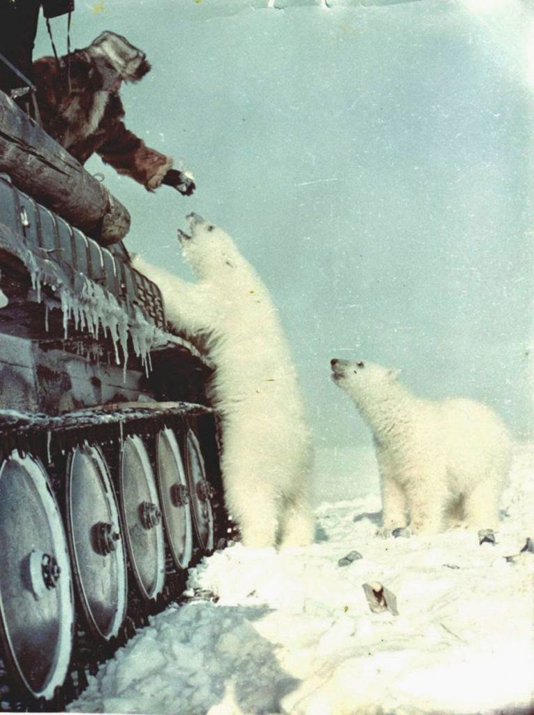 Daily History Picture: Tank Crew and Polar Bears