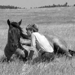 Irish Horse Whispering in Co. Cork