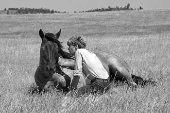 horse whispering