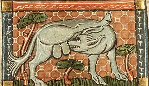 medieval dog art