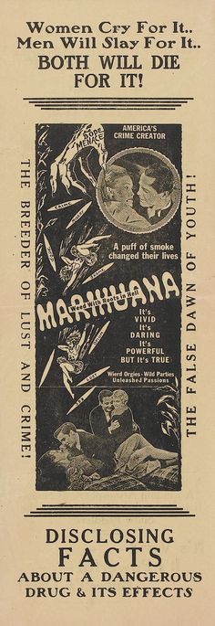 Daily History Picture: Marijuana Hell