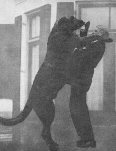 Victorian Urban Legends: Canine Protector