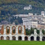 Haunted Tree Swindle in Italy