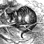 Cat Murder in Early Modern Ypres