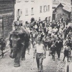 An Elephant Invades Italy in 1936