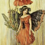 The Problem of Pygmy Fairies
