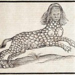 In Search of the Lamia in Ethiopia?