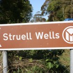 Struell Wells, Ireland: Pagan Customs in the Modern Age?