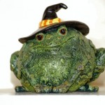 Witchcraft and the Walking Toad!