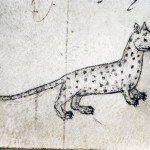 Hating Medieval Cats #4: Waldensian Cats