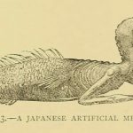 Japanese Mermaid in India