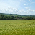 Roman and Medieval Vineyards in Chilly Britain